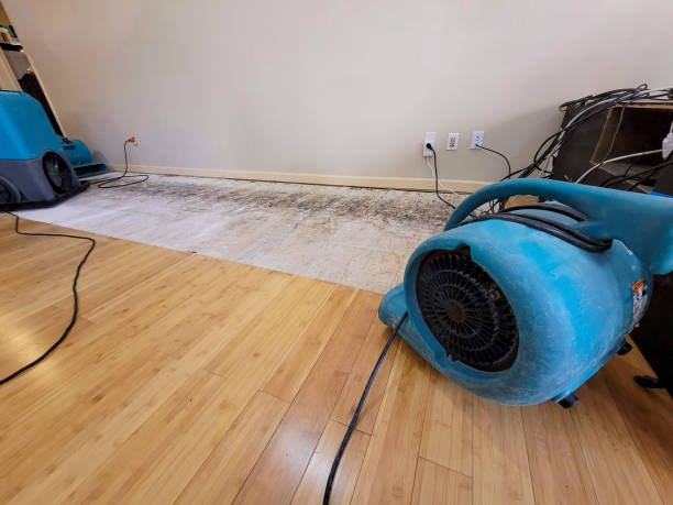 Professional Water Damage Repair technician working in Green Lane, PA